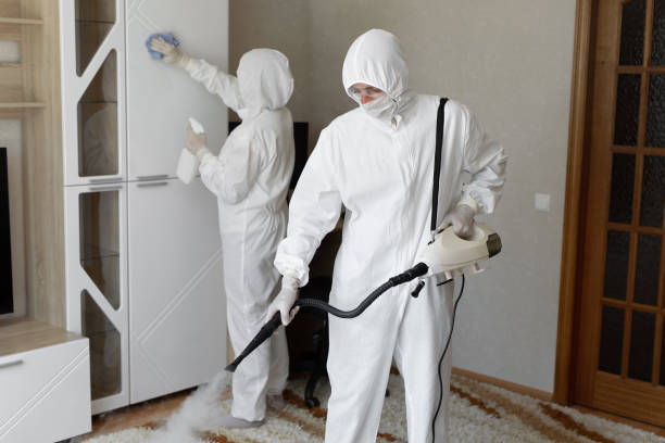 Best Mold Cleaning Services  in Silver Lake, OH