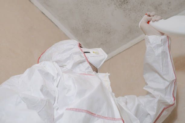 Best Mold Remediation Experts  in Silver Lake, OH