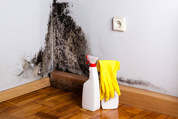 Best Crawl Space Mold Removal  in Silver Lake, OH